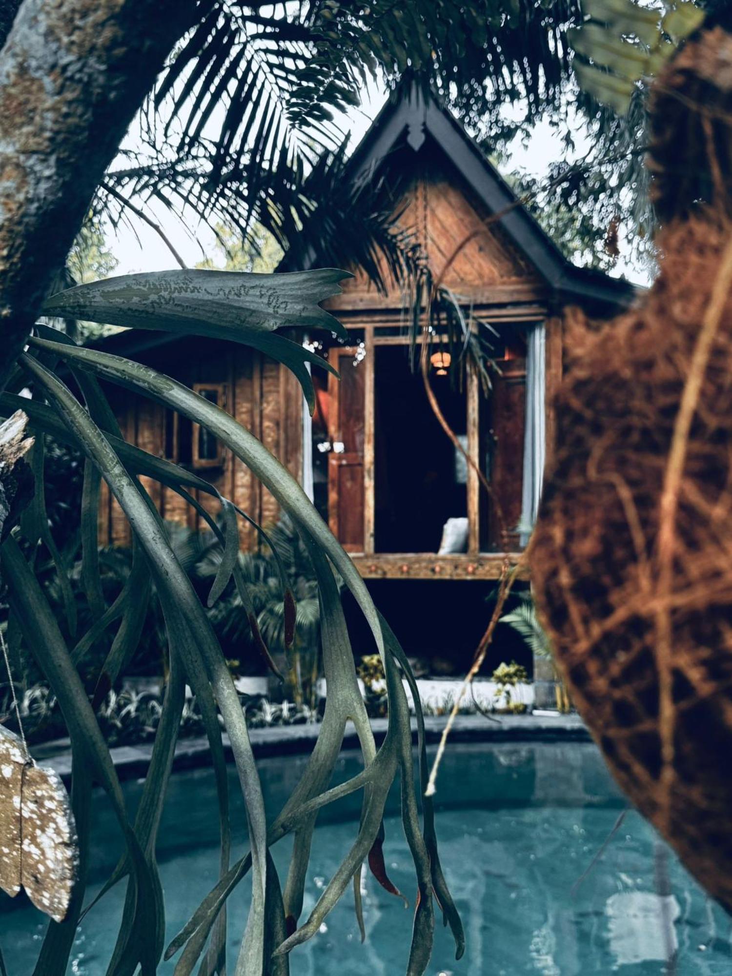 Resort Jungleroom Canggu Екстериор снимка